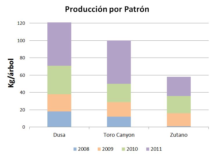 Tabla comparativa de produccion aguacate Hass sobre diferentes portainjertos a 4 años